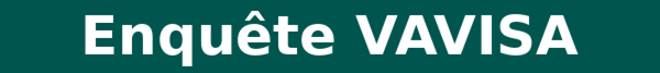 VAVISA – Vie Affective, expérience et Violences Sexuelles à l’Adolescence
