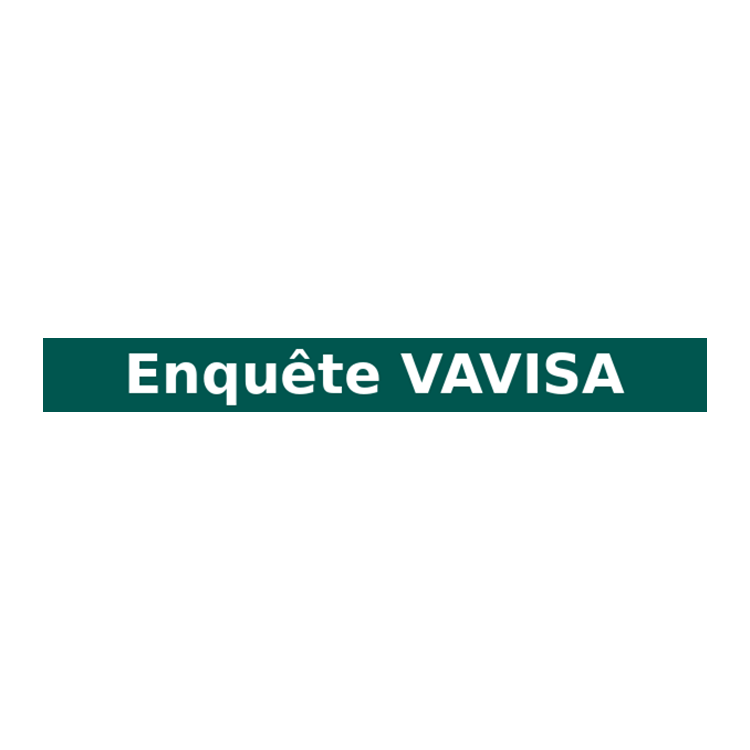 VAVISA – Emotional Life, Experiences and Sexual Violence in Adolescence Public survey on sexuality and sexual violence among 15-21 year olds