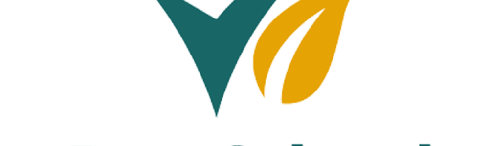 ePro-Schools « ePlatform for Promoting Health in Schools »