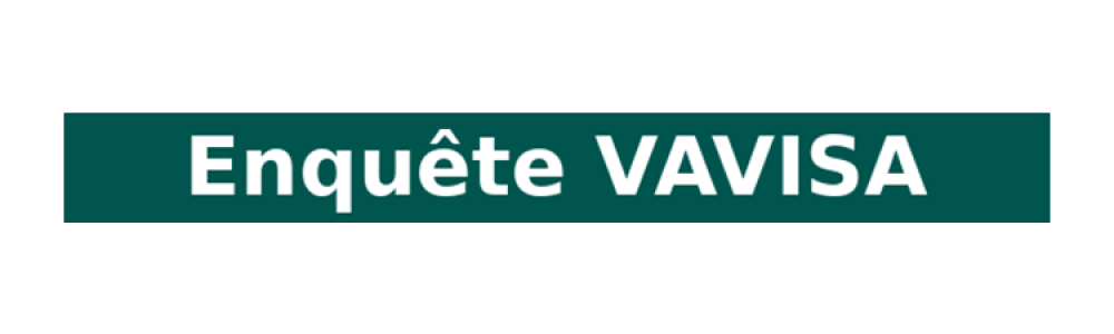 VAVISA – Vie Affective, expérience et Violences Sexuelles à l’Adolescence